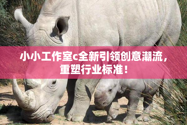 小小工作室c全新引领创意潮流，重塑行业标准！