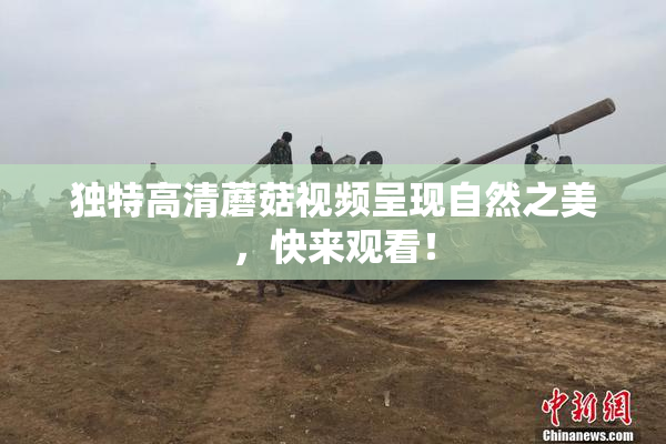 独特高清蘑菇视频呈现自然之美，快来观看！