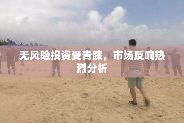 无风险投资受青睐，市场反响热烈分析