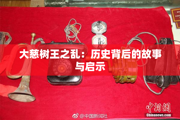 大慈树王之乱：历史背后的故事与启示