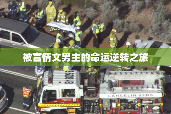 被言情文男主的命运逆转之旅