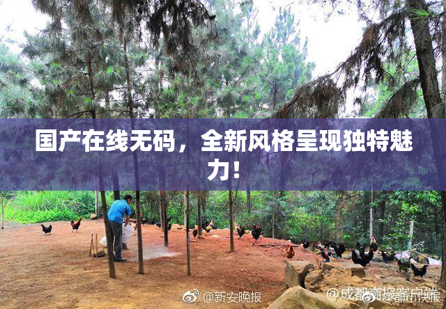 国产在线无码，全新风格呈现独特魅力！