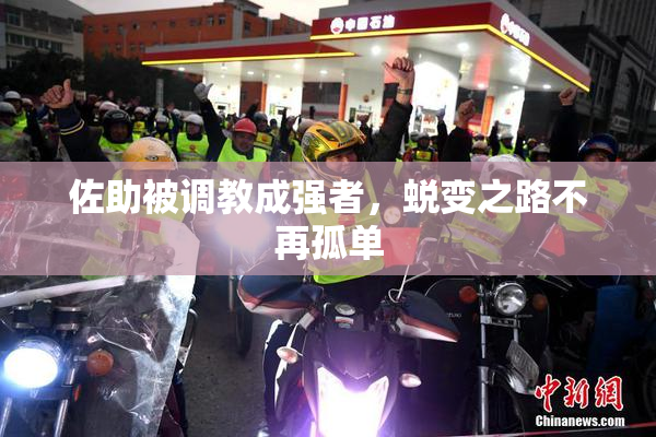 佐助被调教成强者，蜕变之路不再孤单