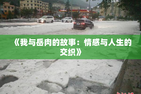 《我与岳肉的故事：情感与人生的交织》