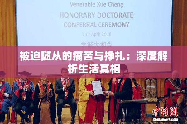 被迫随从的痛苦与挣扎：深度解析生活真相