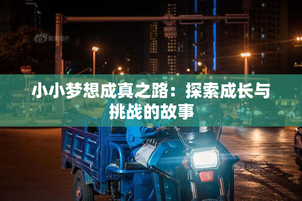 小小梦想成真之路：探索成长与挑战的故事