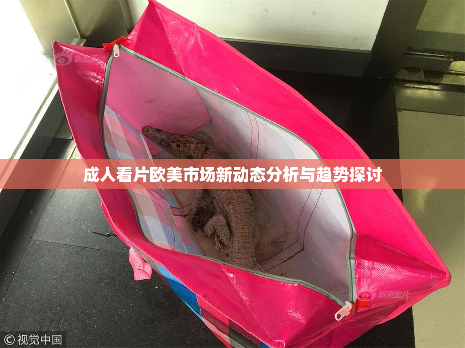成人看片欧美市场新动态分析与趋势探讨