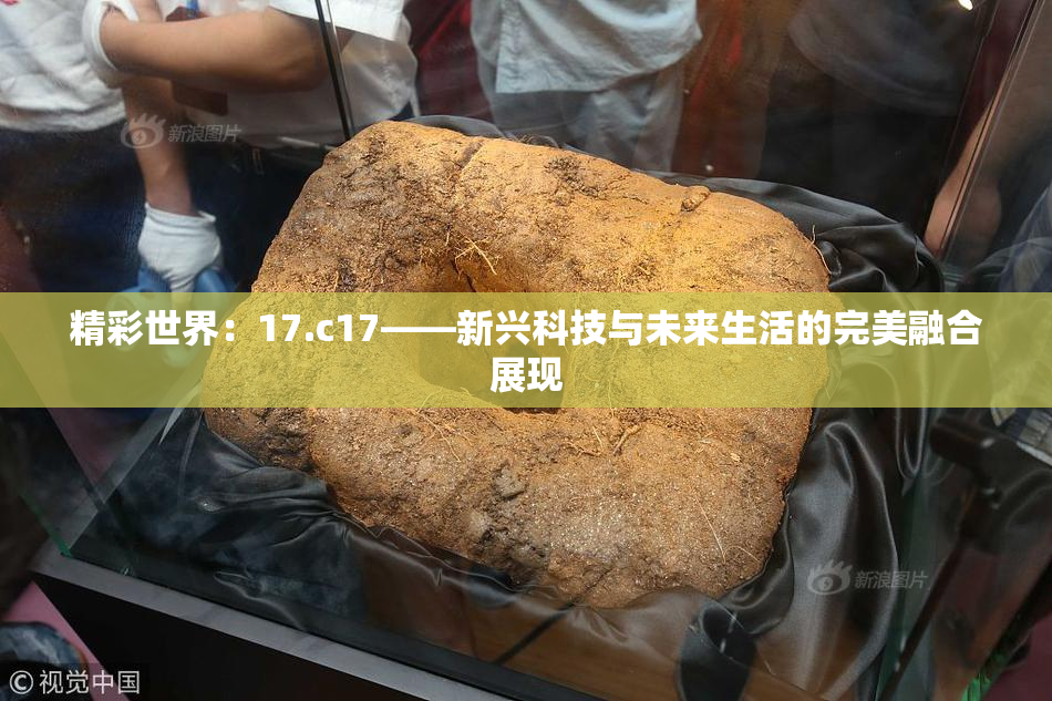 精彩世界：17.c17——新兴科技与未来生活的完美融合展现