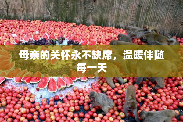 母亲的关怀永不缺席，温暖伴随每一天