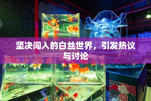 坚决闯入的白丝世界，引发热议与讨论