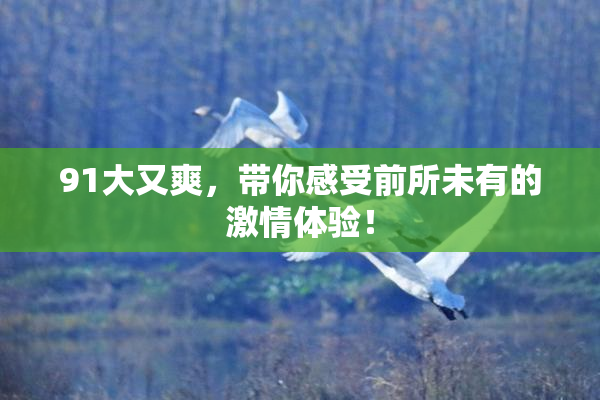 91大又爽，带你感受前所未有的激情体验！