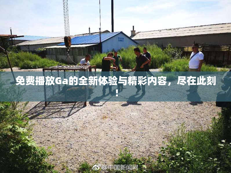 免费播放Ga的全新体验与精彩内容，尽在此刻！