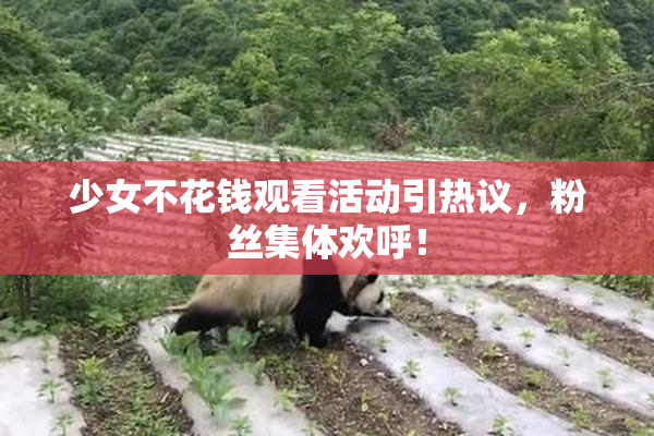 少女不花钱观看活动引热议，粉丝集体欢呼！