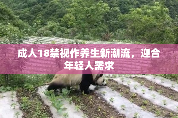 成人18禁视作养生新潮流，迎合年轻人需求