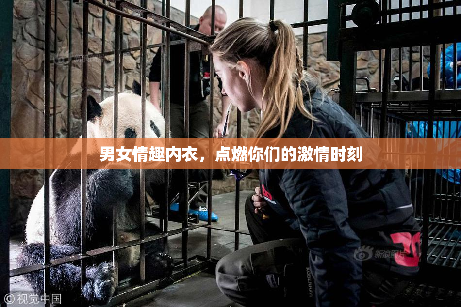 男女情趣内衣，点燃你们的激情时刻