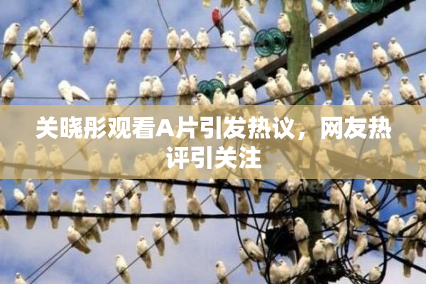 关晓彤观看A片引发热议，网友热评引关注