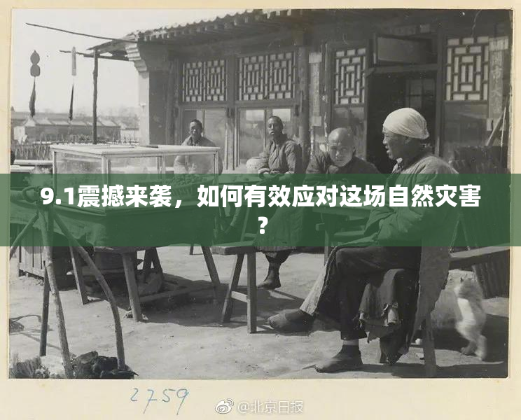 9.1震撼来袭，如何有效应对这场自然灾害？