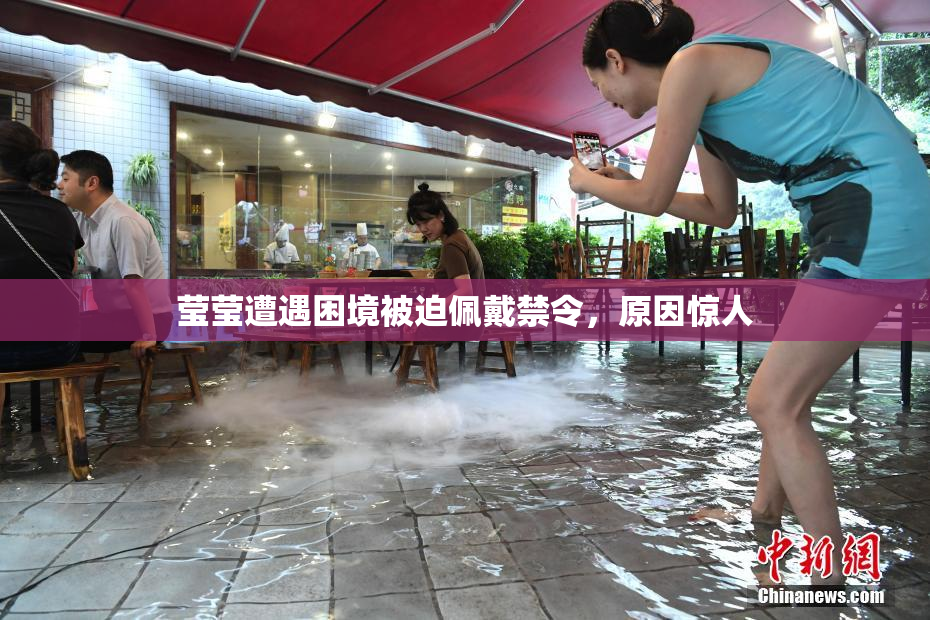 莹莹遭遇困境被迫佩戴禁令，原因惊人