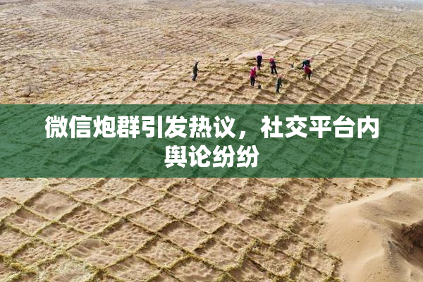 微信炮群引发热议，社交平台内舆论纷纷