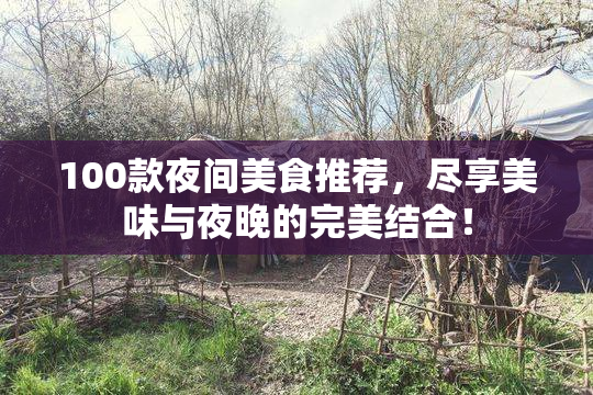 100款夜间美食推荐，尽享美味与夜晚的完美结合！