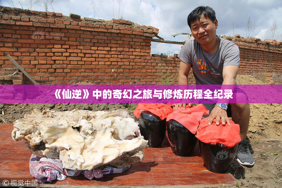 《仙逆》中的奇幻之旅与修炼历程全纪录