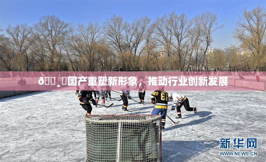 🌸‌国产重塑新形象，推动行业创新发展