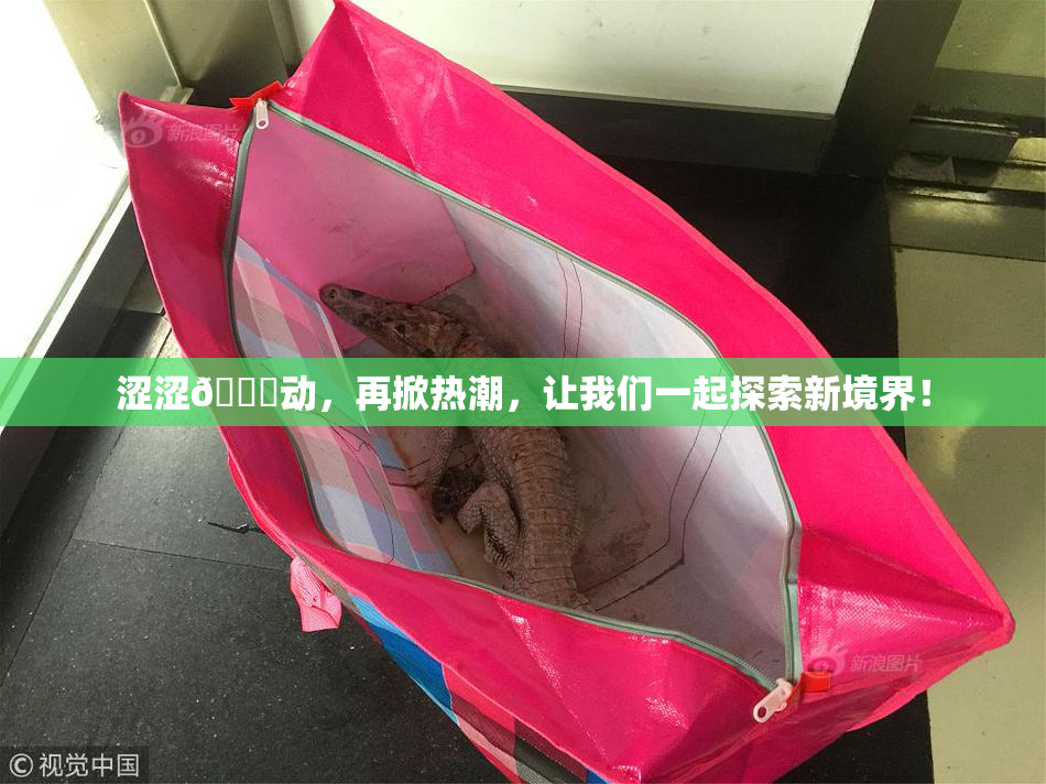 涩涩🔞动，再掀热潮，让我们一起探索新境界！