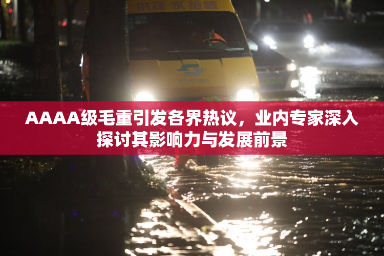 AAAA级毛重引发各界热议，业内专家深入探讨其影响力与发展前景