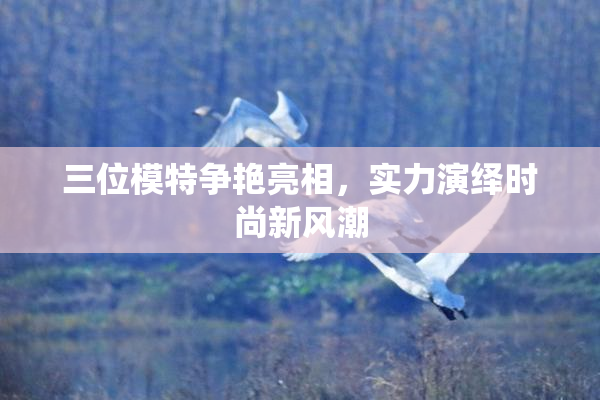 三位模特争艳亮相，实力演绎时尚新风潮