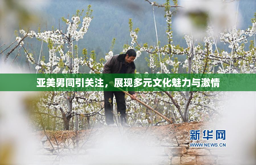 亚美男同引关注，展现多元文化魅力与激情