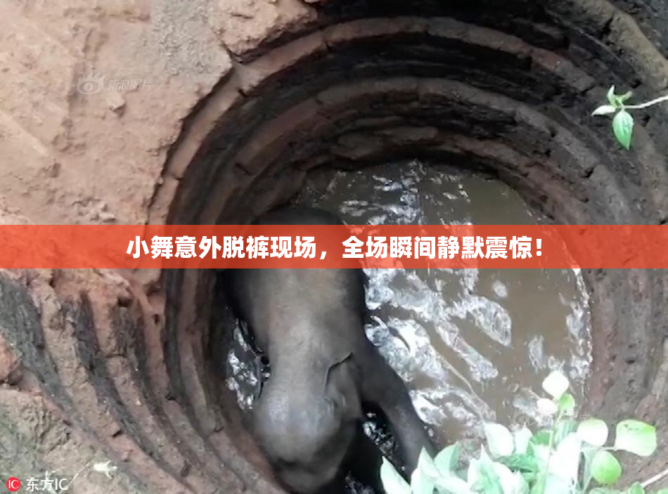 小舞意外脱裤现场，全场瞬间静默震惊！