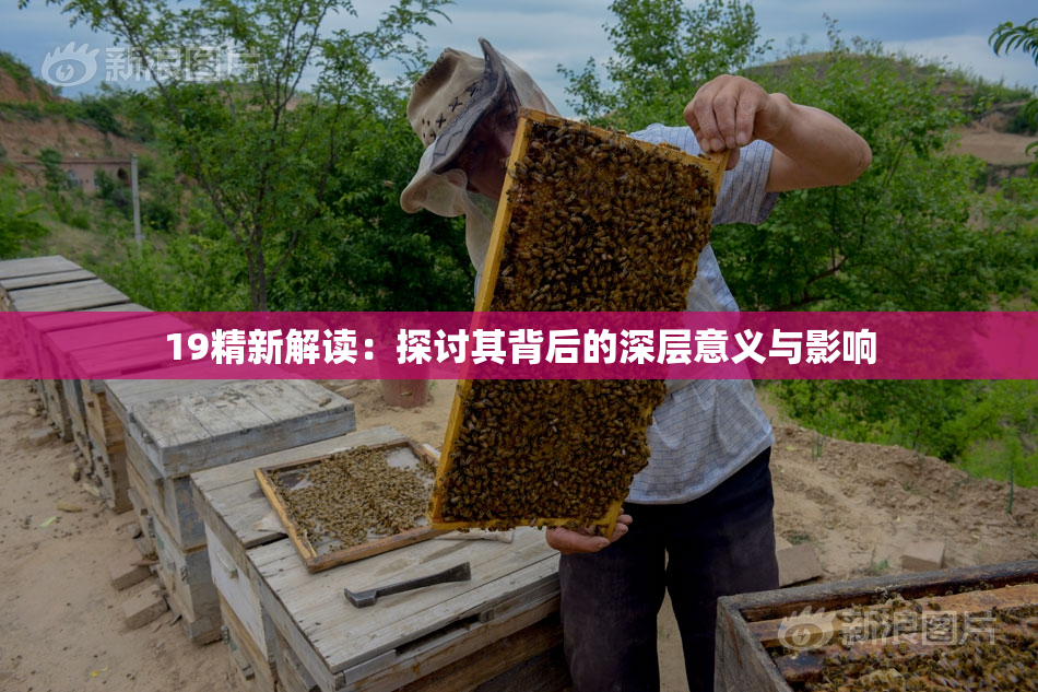 19精新解读：探讨其背后的深层意义与影响