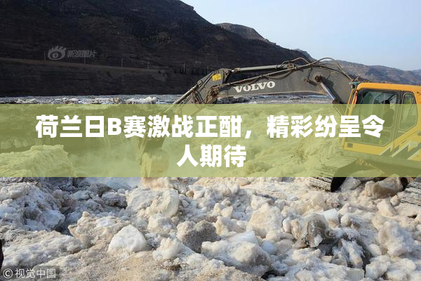 荷兰日B赛激战正酣，精彩纷呈令人期待