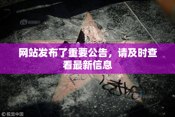 网站发布了重要公告，请及时查看最新信息