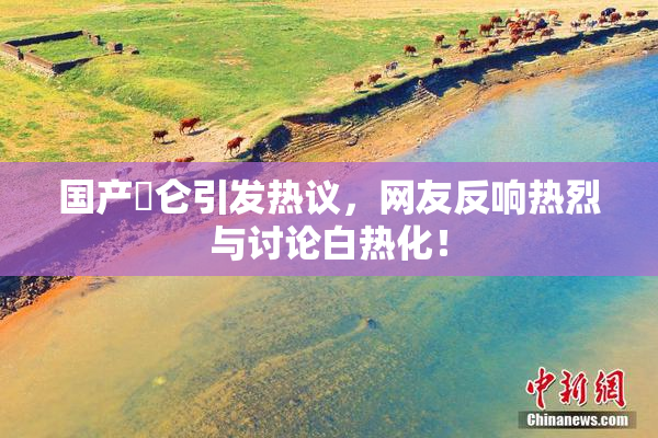 国产婬仑引发热议，网友反响热烈与讨论白热化！