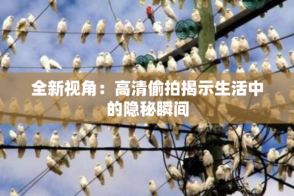 全新视角：高清偷拍揭示生活中的隐秘瞬间