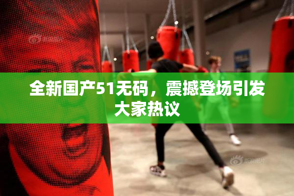 全新国产51无码，震撼登场引发大家热议