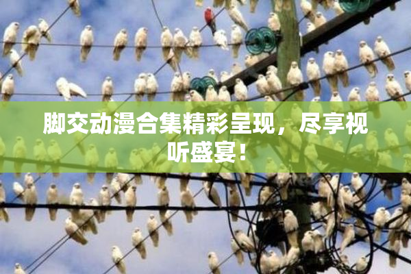 脚交动漫合集精彩呈现，尽享视听盛宴！