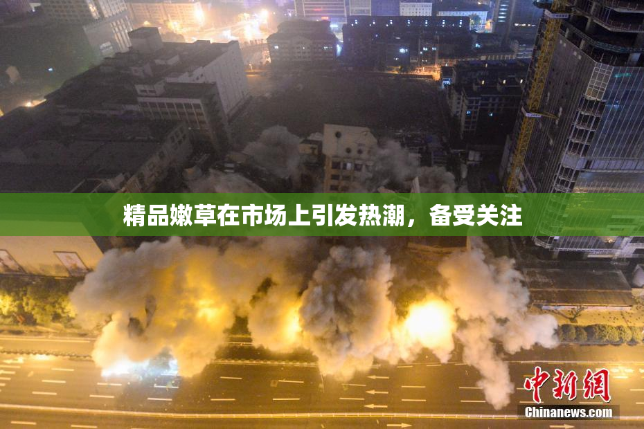 精品嫩草在市场上引发热潮，备受关注