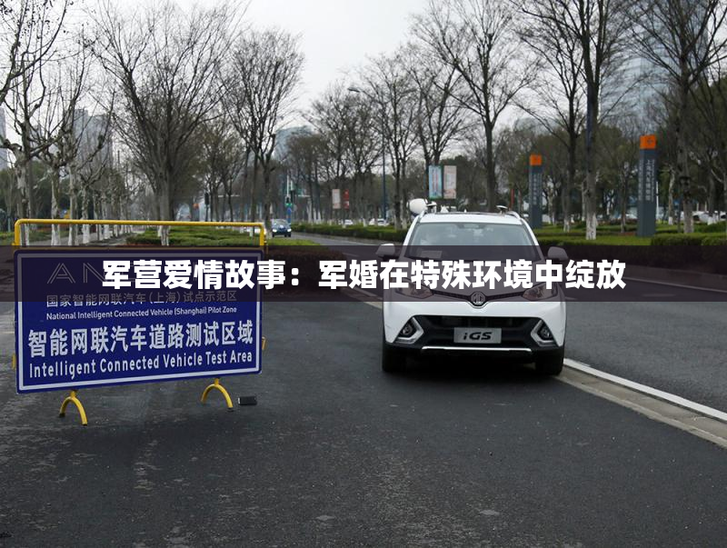 军营爱情故事：军婚在特殊环境中绽放