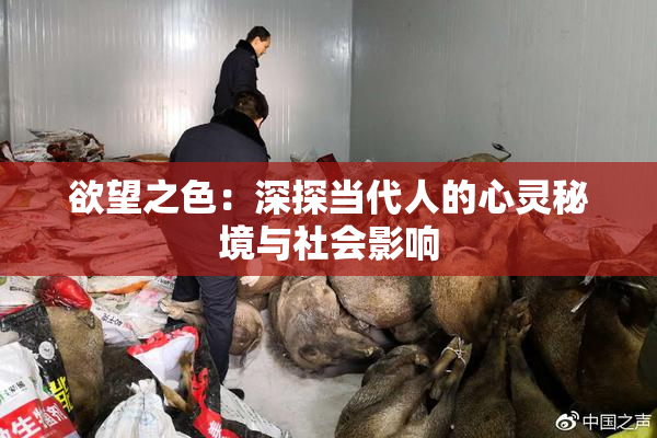 欲望之色：深探当代人的心灵秘境与社会影响