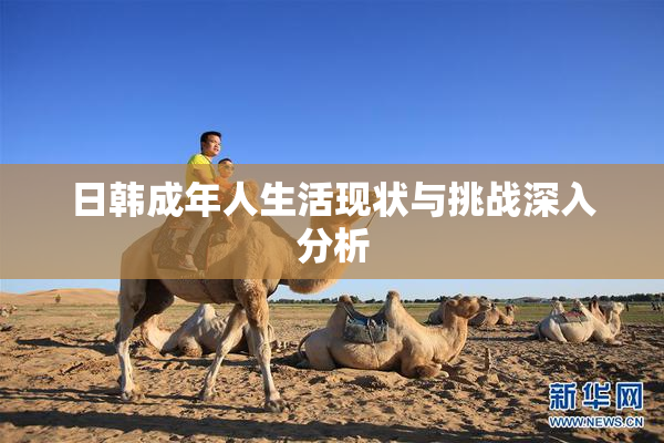 日韩成年人生活现状与挑战深入分析