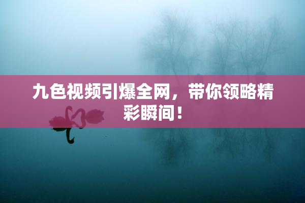 九色视频引爆全网，带你领略精彩瞬间！