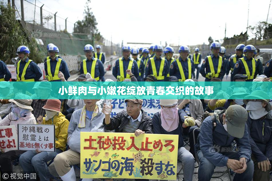 小鲜肉与小嫩花绽放青春交织的故事