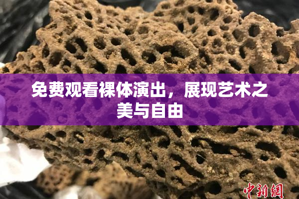 免费观看裸体演出，展现艺术之美与自由