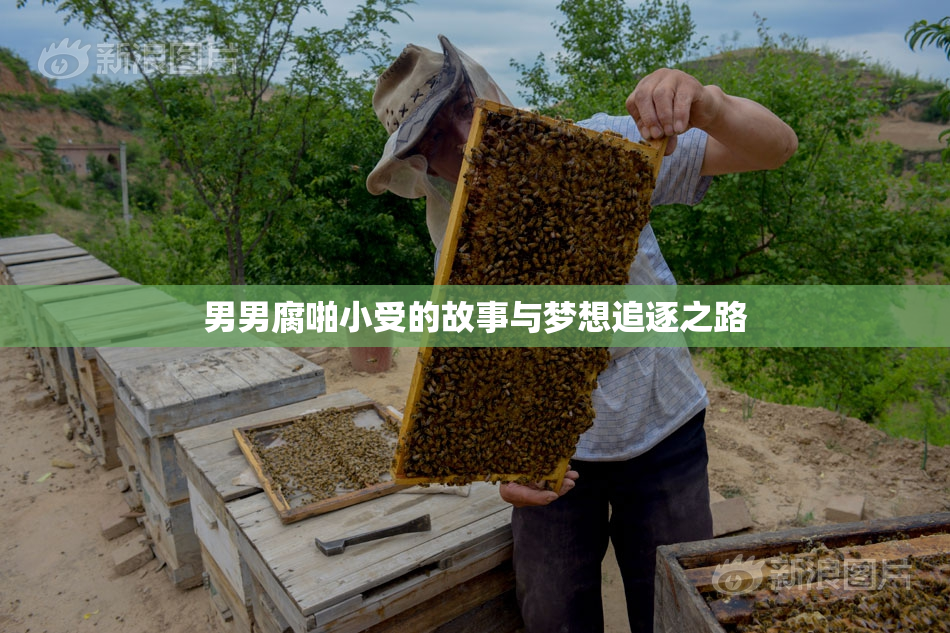 男男腐啪小受的故事与梦想追逐之路