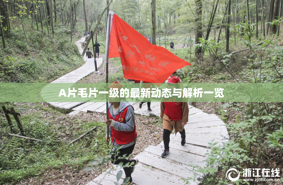 A片毛片一级的最新动态与解析一览