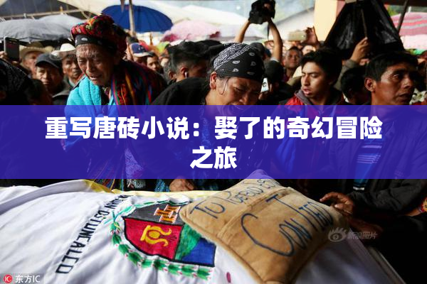 重写唐砖小说：娶了的奇幻冒险之旅