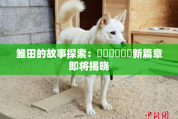 雏田的故事探索：❌‌❌‌❌‌新篇章即将揭晓