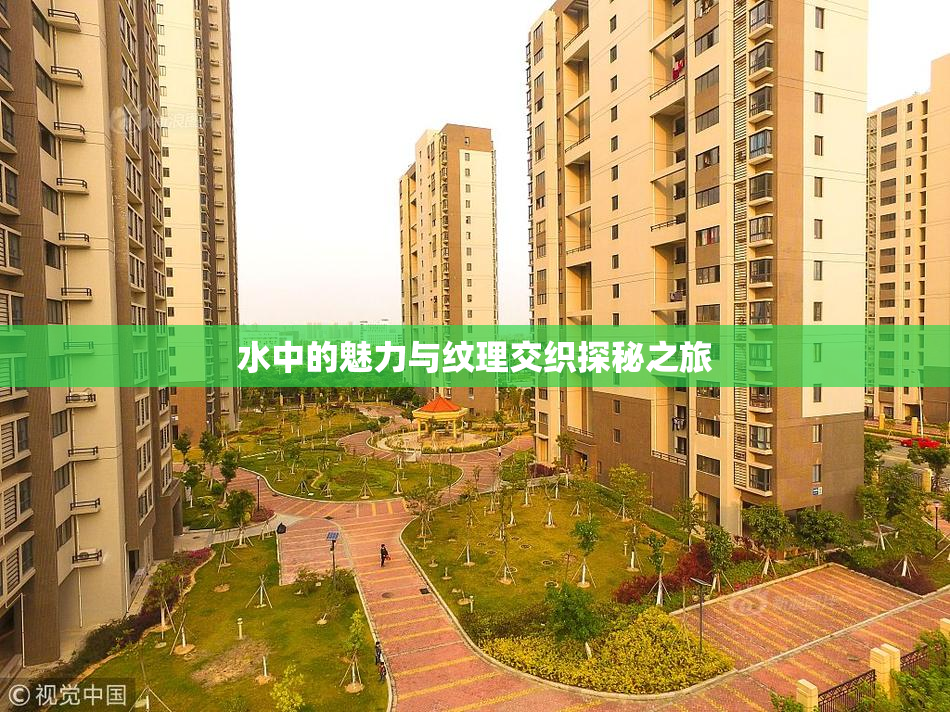 水中的魅力与纹理交织探秘之旅